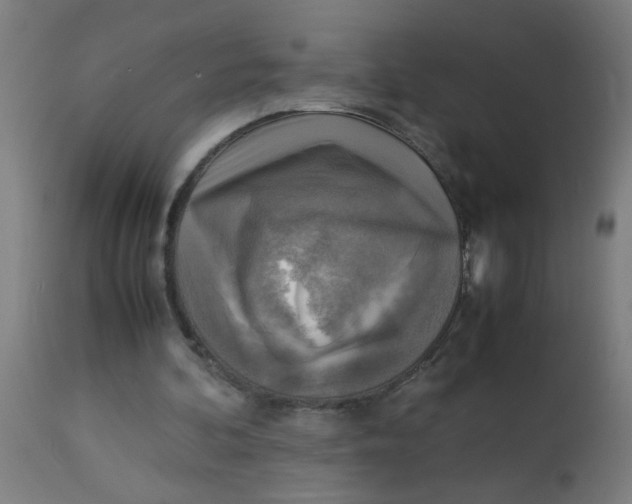 X0000113220292200910081348