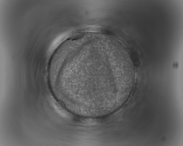 X0000113220293200910081348