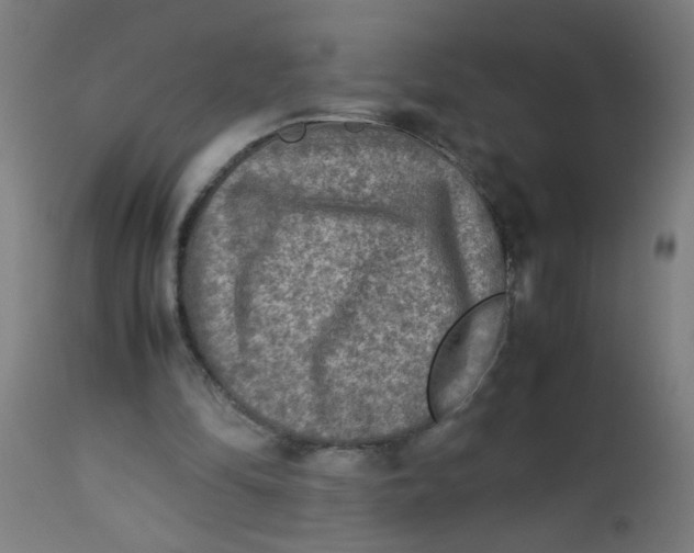 X0000113220294200910081348