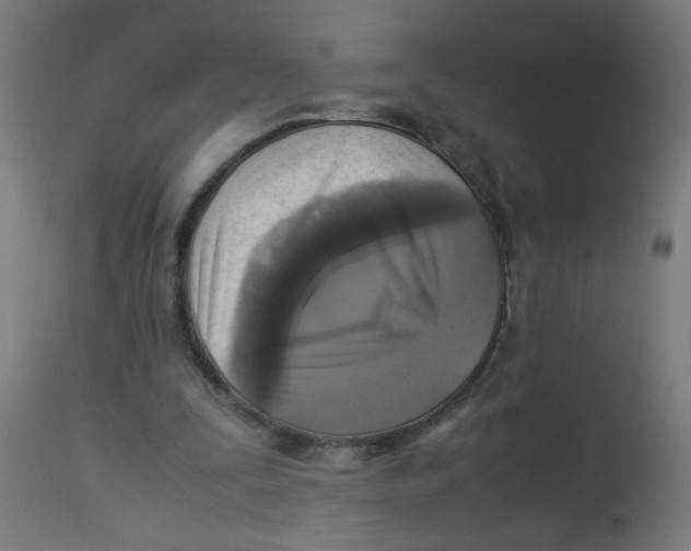 X0000113220295200910081348