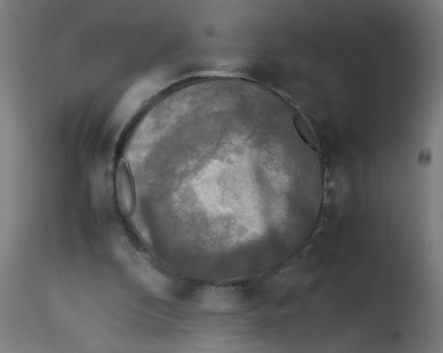 X0000113220296200910081348