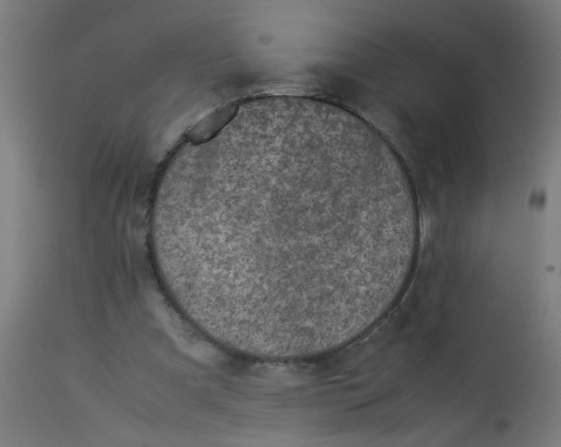 X0000113220297200910081348