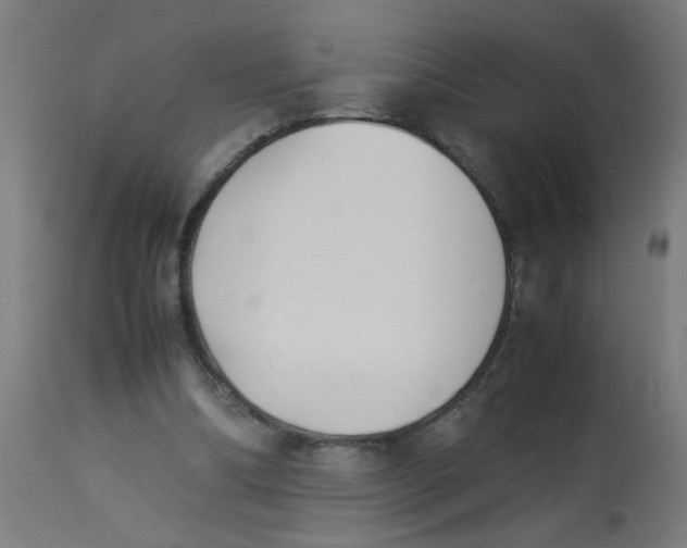 X0000113220298200910081348