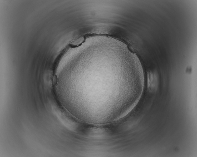 X0000113220300200910081348