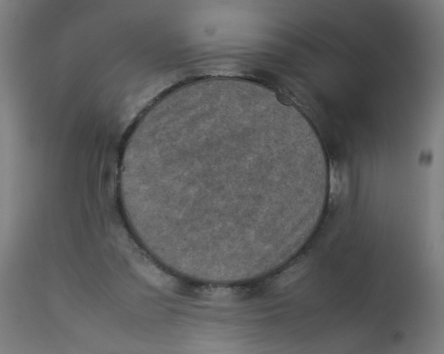 X0000113220301200910081348