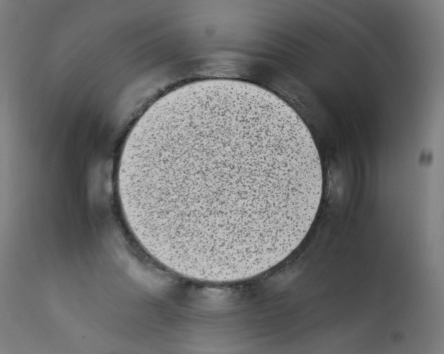 X0000113220302200910081348