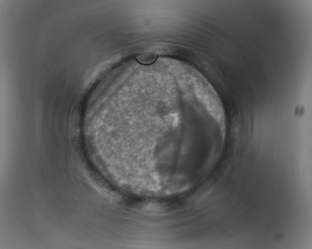 X0000113220303200910081348