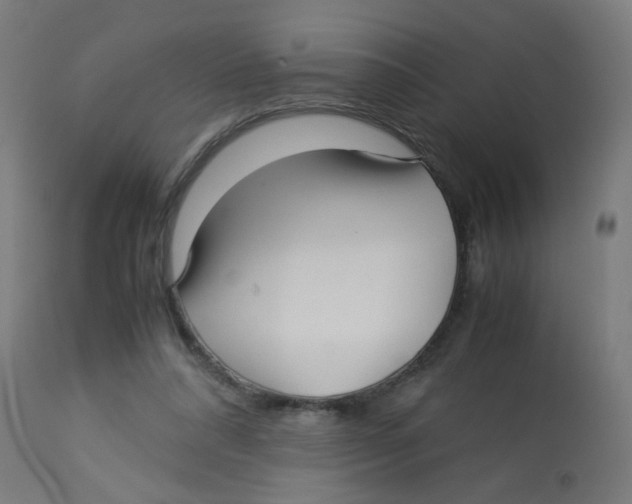 X0000113220304200910081348