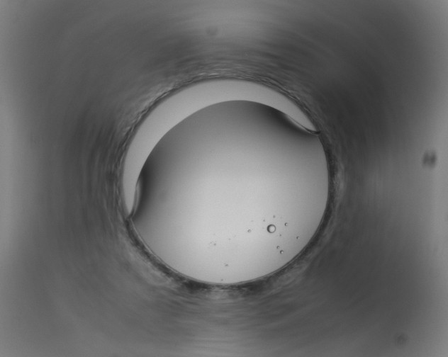 X0000113220305200910081348