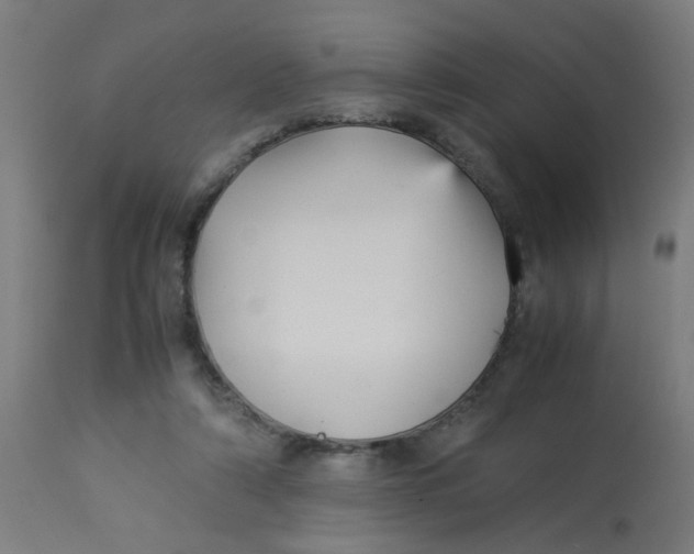 X0000113220306200910081348