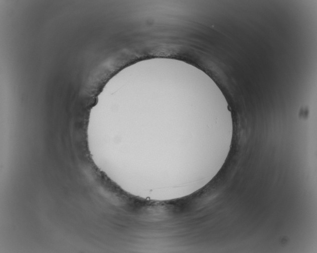 X0000113220307200910081348