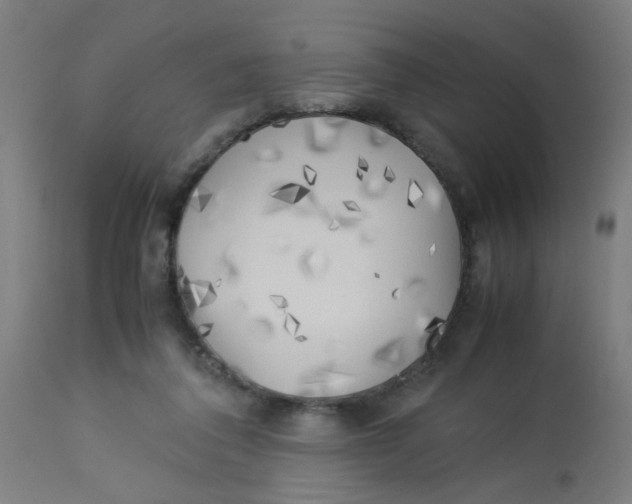 X0000113220308200910081348