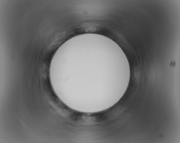 X0000113220311200910081348