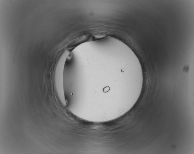 X0000113220313200910081348