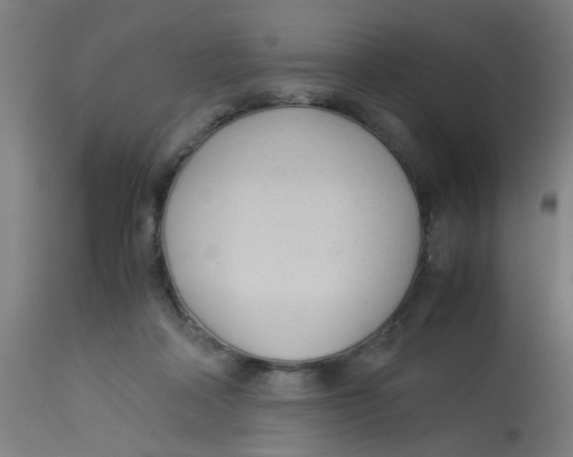 X0000113220314200910081348