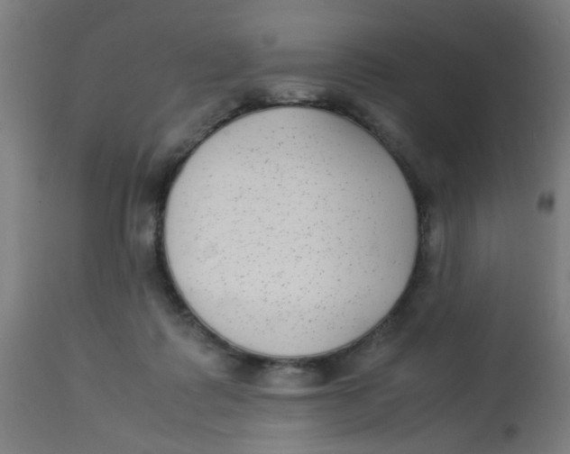 X0000113220315200910081348
