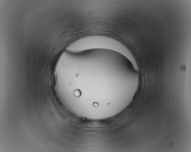 X0000113220316200910081347