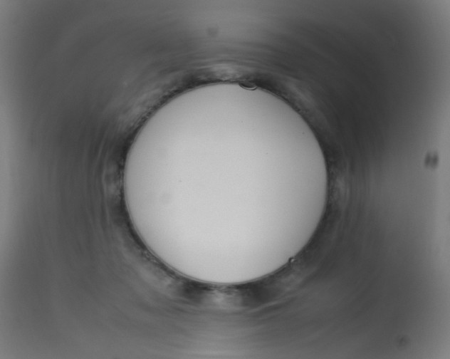 X0000113220317200910081347