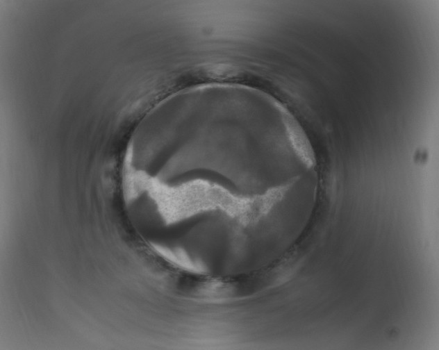 X0000113220319200910081347