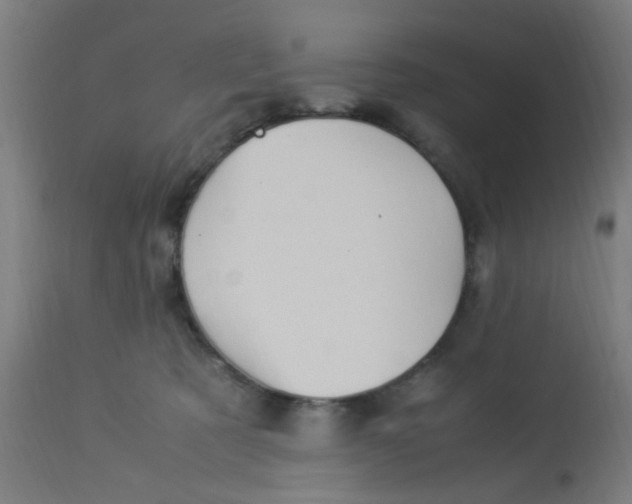 X0000113220321200910081347