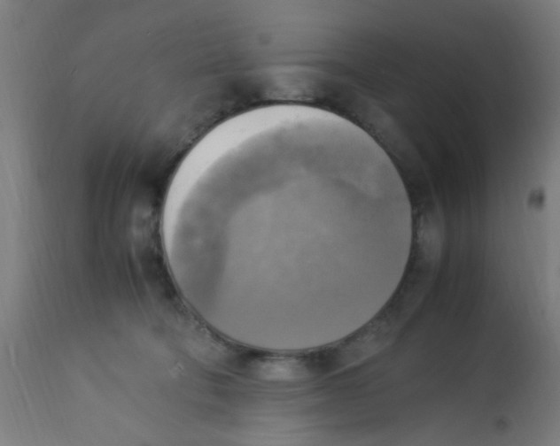 X0000113220322200910081347