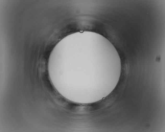 X0000113220323200910081347
