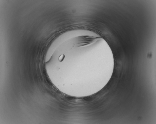 X0000113220324200910081347