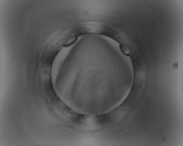 X0000113220325200910081347