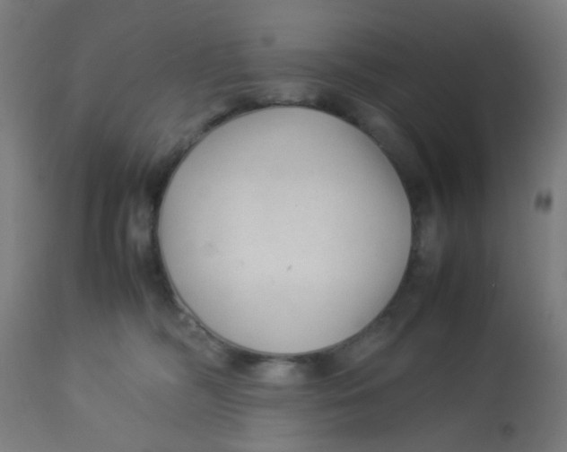 X0000113220326200910081347