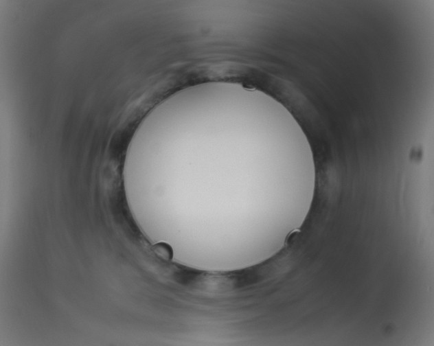X0000113220327200910081347