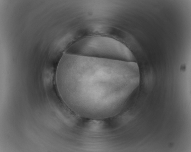 X0000113220328200910081347