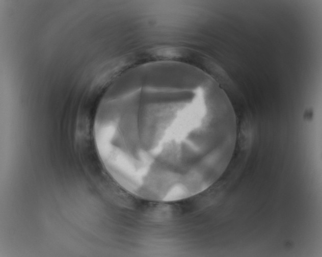 X0000113220330200910081347