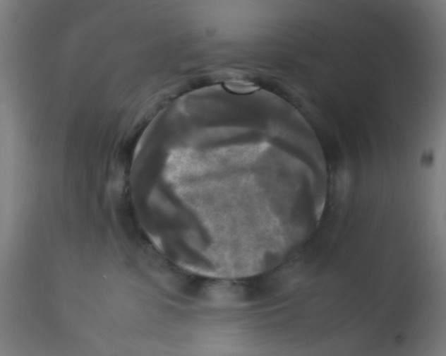 X0000113220331200910081347