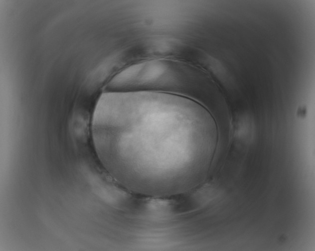 X0000113220332200910081347