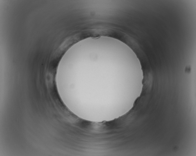 X0000113220333200910081347
