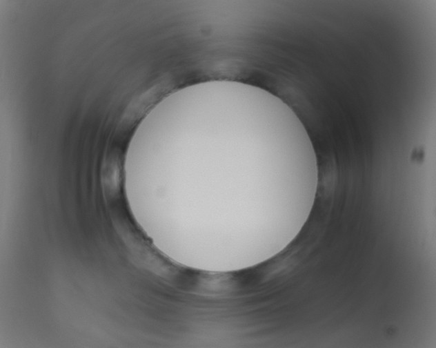 X0000113220334200910081347