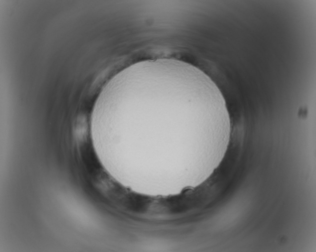 X0000113220335200910081347