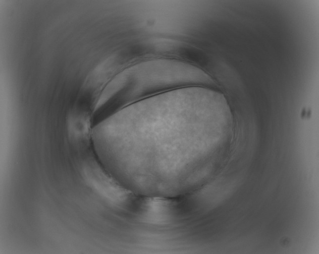 X0000113220336200910081347