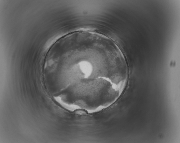 X0000113220337200910081346