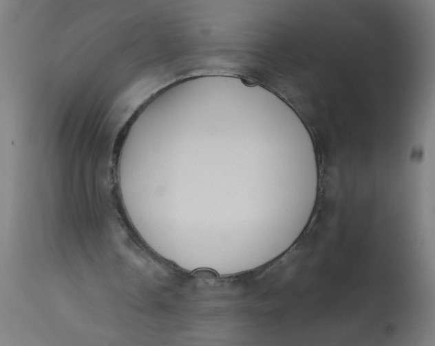 X0000113220338200910081346