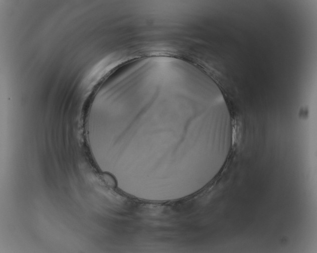 X0000113220339200910081346