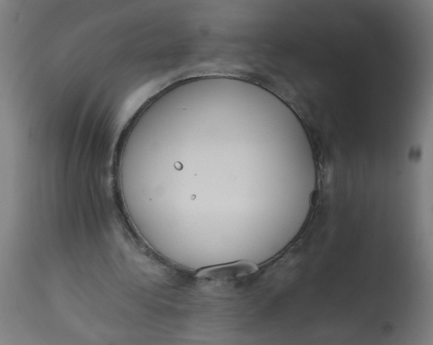X0000113220340200910081346