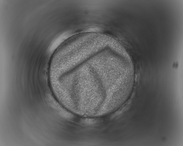 X0000113220341200910081346