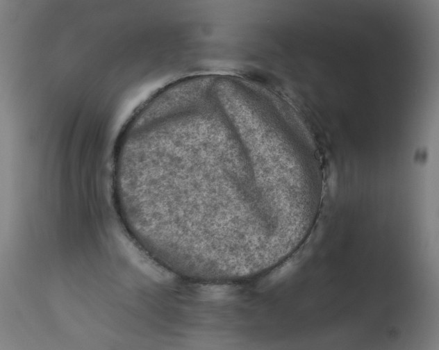 X0000113220342200910081346