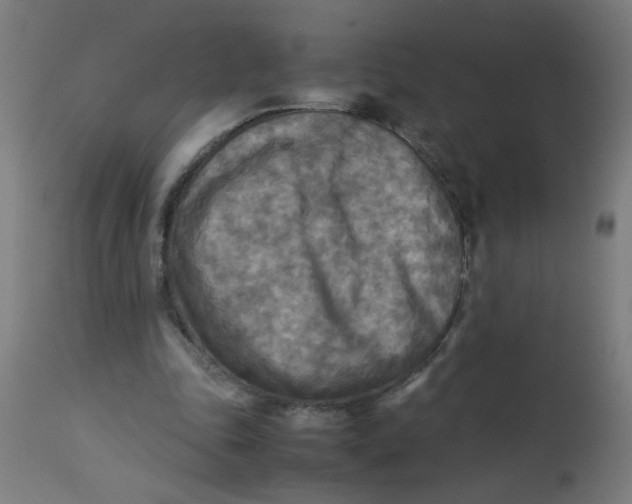 X0000113220343200910081346