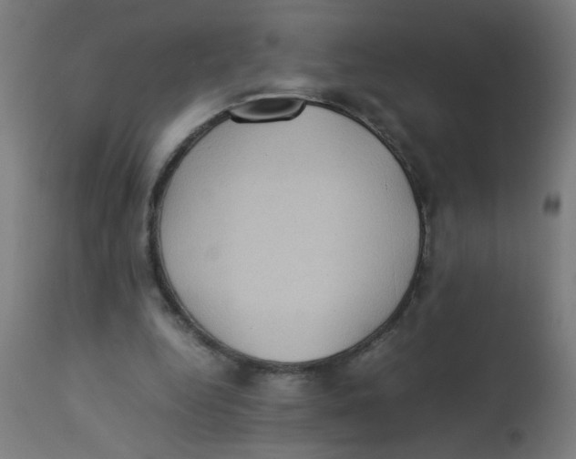 X0000113220344200910081346