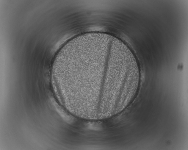 X0000113220345200910081346