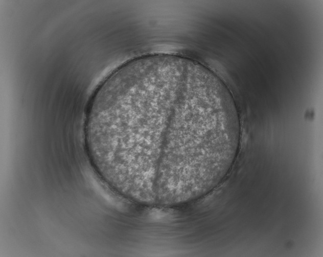 X0000113220346200910081346