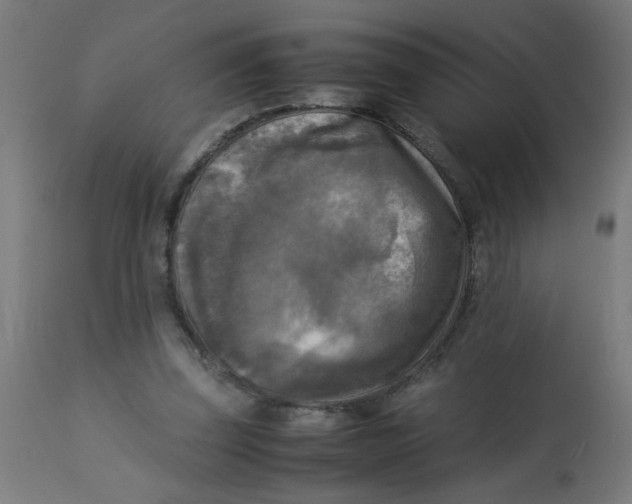 X0000113220347200910081346