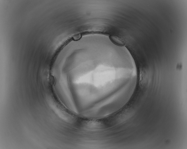 X0000113220348200910081346